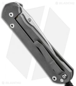 Chris Reeve Large Sebenza 21 Knife CGG Doppler (3.5" Stonewash) 8 Chris Reeve Large Sebenza 21 Knife CGG Doppler (3.5" Stonewash) -Knives Store Chris Reeve Large Sebenza 21 CGG Doppler SW L21 1246 BHQ 92524 jr side