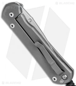 Chris Reeve Large Sebenza 21 Unique Graphic Circles (3.625" Polish) 12/06/17 8 Chris Reeve Large Sebenza 21 Unique Graphic Circles (3.625" Polish) 12/06/17 -Knives Store Chris Reeve Large Sebenza 21 Unique Graphic Circles Polish BHQ 79627 jr side