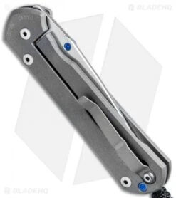 Large Sebenza 21 Unique Graphic Pinwheel Amethyst Cobochon (3.625" Polish) 8 Large Sebenza 21 Unique Graphic Pinwheel Amethyst Cobochon (3.625" Polish) -Knives Store Chris Reeve Large Sebenza 21 Unique Graphic Pinwheel Amethyst Cobochon Polish BHQ 74123 jr side