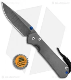 Chris Reeve Large Sebenza 31 Frame Lock Knife Titanium (3.6" Ladder Damascus) -Knives Store Chris Reeve Large Sebenza 31 FL Ti Ladder Damascus Double Thumb Lug BHQ 99023 jr bottlecap