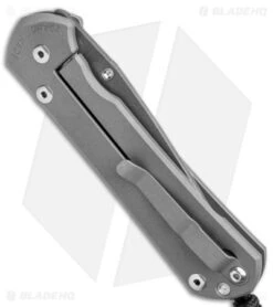 Chris Reeve Large Sebenza 31 Unique Graphic Amethyst 19SSB (3.6" Ladder) -Knives Store Chris Reeve Large Sebenza 31 Unique Graphic Amethyst Ladder Damascus BHQ 144650 jr side