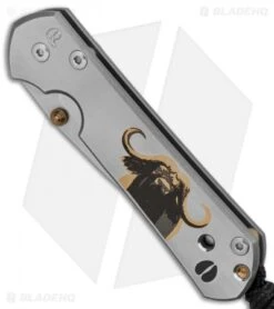 Chris Reeve Small Sebenza 21 Knife CGG Buffalo (2.94" Stonewash) 8 Chris Reeve Small Sebenza 21 Knife CGG Buffalo (2.94" Stonewash) -Knives Store Chris Reeve Sebenza 21 Small Cape Buffalo CGG BHQ 80792 er spine