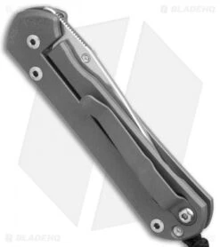 Chris Reeve Small Sebenza 21 Graphic Amethyst Unique (2.9" Satin) 9/21/17 -Knives Store Chris Reeve Small Sebenza 21 Graphic Amethyst Unique Satin BHQ 76604 er side