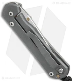 Chris Reeve Small Sebenza 21 Graphic Citrine Unique (2.9" Satin) 9/21/17 7 Chris Reeve Small Sebenza 21 Graphic Citrine Unique (2.9" Satin) 9/21/17 -Knives Store Chris Reeve Small Sebenza 21 Graphic Citrine Unique Satin BHQ 76605 er side