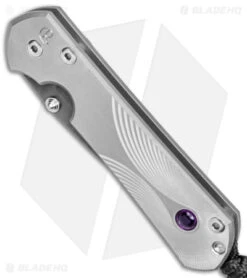 Chris Reeve Small Sebenza 31 Frame Lock Knife Gray Titanium (3" Ladder Damascus) 8 Chris Reeve Small Sebenza 31 Frame Lock Knife Gray Titanium (3" Ladder Damascus) -Knives Store Chris Reeve Small Sebenza 31 Unique Graphic Amethyst B Damascus BHQ 113454 jr spine