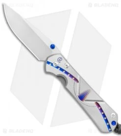 Chris Reeve Small Sebenza 31 Unique Graphic Beehive (C) (3" Satin)