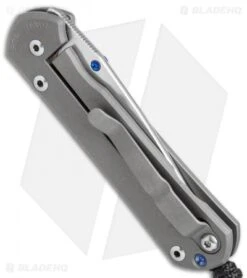 Chris Reeve Small Sebenza 21 Graphic Amethyst Cabochon (2.9" Satin) 3/28/17 -Knives Store Chris Reeve small Sebenza 21 graphic Amethyst Cabochon satin BHQ 68492 er side