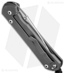 Knives Store -Knives Store chris reeve large sebenza 21 cgg side arm side cm 1