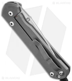 Chris Reeve Large Sebenza 21 Unique Graphic Silver 27 Feb 2015 -Knives Store chris reeve lg sebenza unique 27 feb 2015 side cm