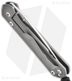 Chris Reeve Small Sebenza 21 Knife Riddled CGG (2.94" Plain) -Knives Store chris reeve smal sebenza 21 cgg raindrop side