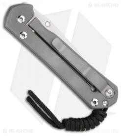 Chris Reeve Small Sebenza 21 Knife Gold Leaf CGG (2.94" Plain) 5 Chris Reeve Small Sebenza 21 Knife Gold Leaf CGG (2.94" Plain) -Knives Store chris reeve small sebenza 21 unique graphic march272013